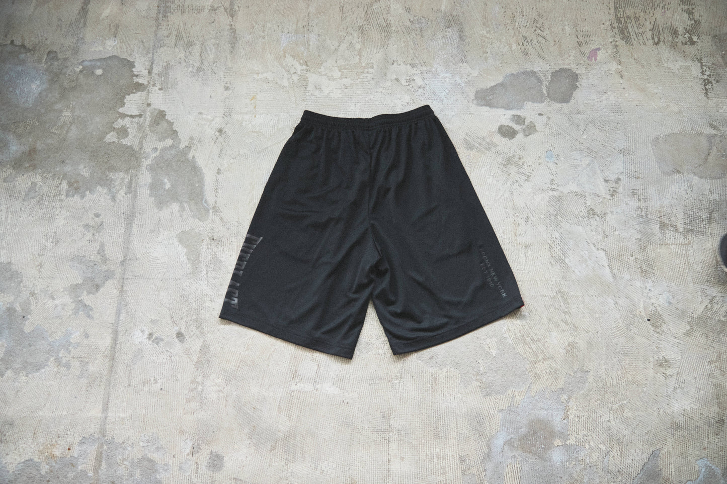 EVERLAST DRY shorts side logo
