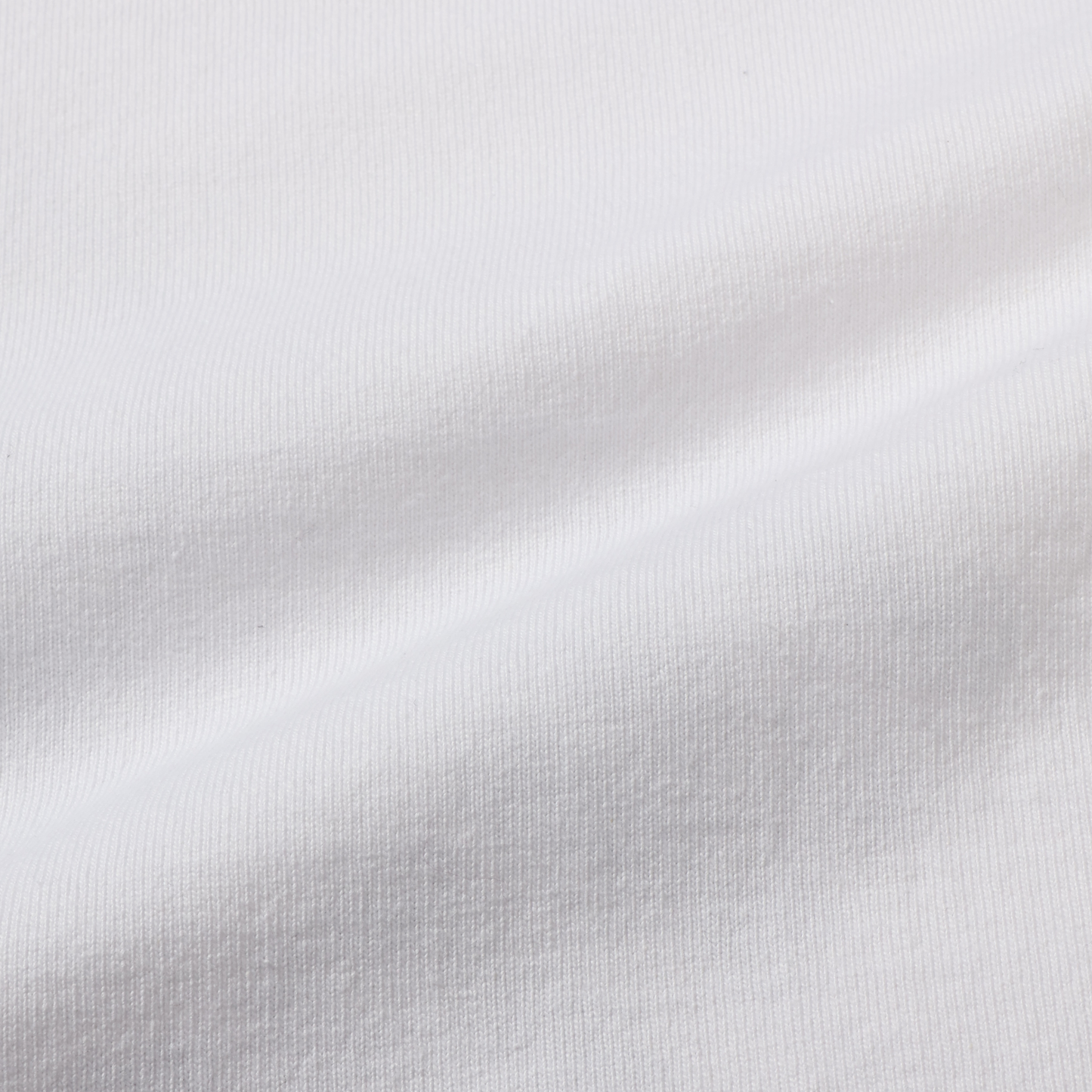 DEVILOCK×EVERLAST L/S TEE