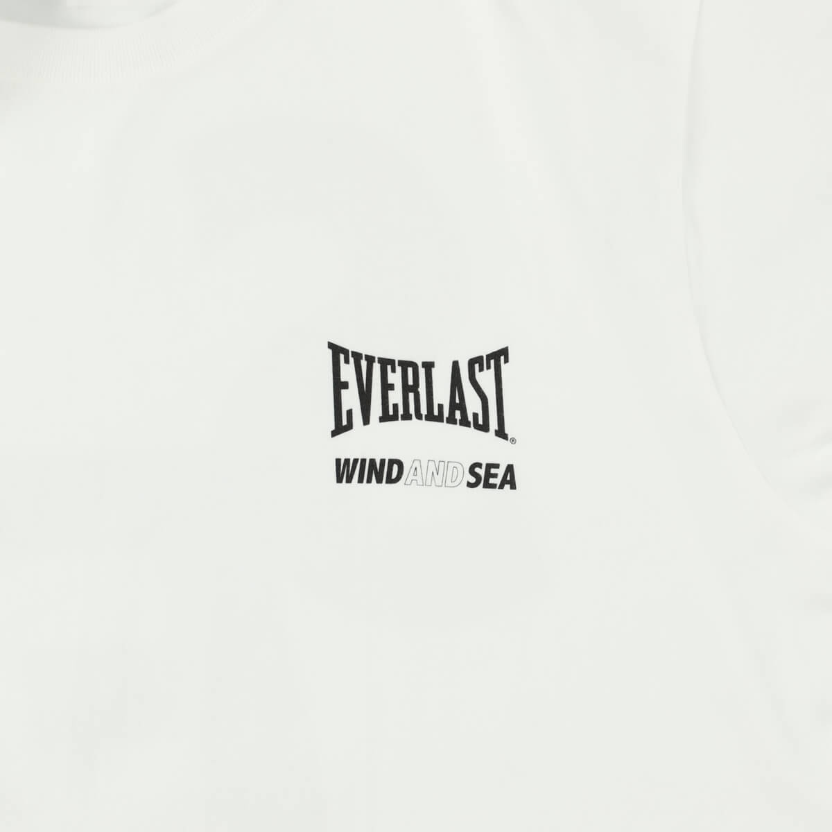 春に散る×WDS×EVERLAST (S_E_A) S/S TEE – EVERLAST WORLDWIDE, INC.